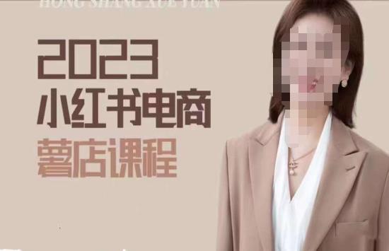 2023小红书电商课，新手小白从0~1玩转小红书薯店电商-赚钱驿站