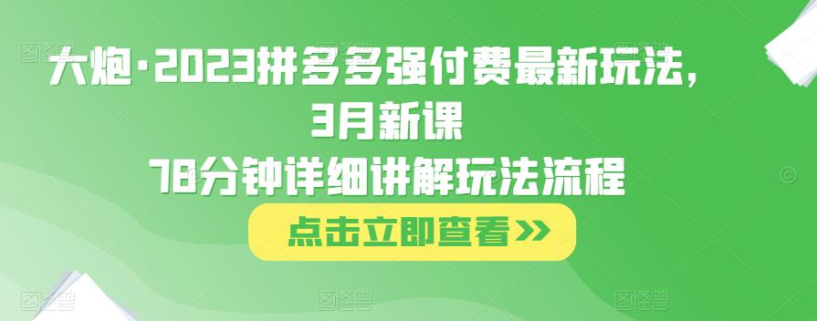 大炮·2023拼多多强付费最新玩法，3月新课​78分钟详细讲解玩法流程-赚钱驿站