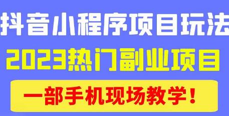 抖音小程序9.0新技巧，2023热门副业项目，动动手指轻松变现-赚钱驿站