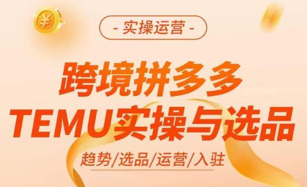 跨境拼多多TEMU实操与选品，​掌握平台运营方法技巧，选品避坑12条标准，爆款的底层思路等-赚钱驿站