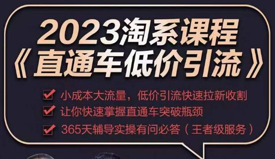 2023直通车低价引流玩法课程，小成本大流量，低价引流快速拉新收割，让你快速掌握直通车突破瓶颈-赚钱驿站