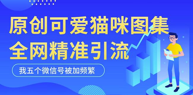 黑科技纯原创可爱猫咪图片，全网精准引流，实操5个VX号被加频繁-赚钱驿站