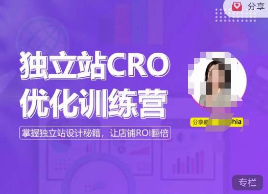 独立站CRO优化训练营，掌握独立站设计秘籍，打造高转化的独立站，让店铺ROI翻倍-赚钱驿站