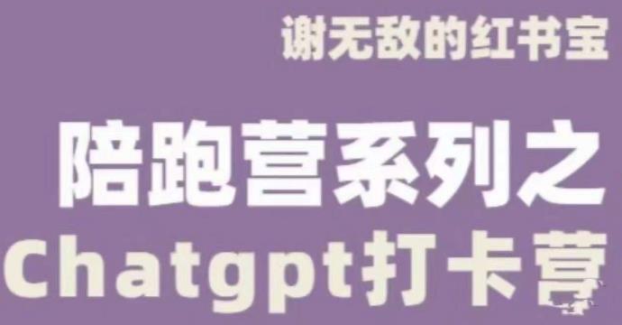 谢无敌ChatGPT打卡营，教你更好地使用ChatGPT来提高工作效率-赚钱驿站