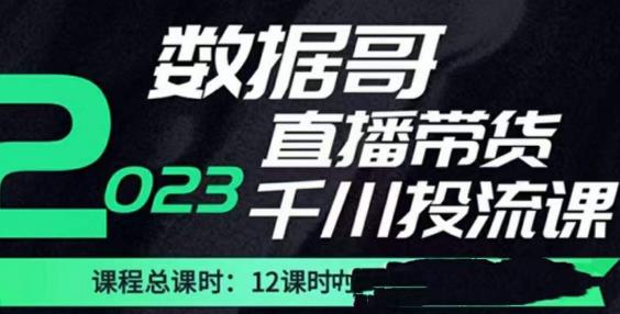 数据哥2023直播电商巨量千川付费投流实操课，快速掌握直播带货运营投放策略-赚钱驿站