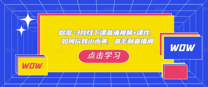 哈哥·3月线下实操课高清视频+课件，如何玩转小而美，高毛利直播间-赚钱驿站