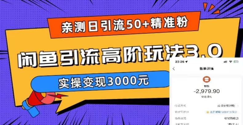 亲测日引50+精准粉，闲鱼引流高阶玩法3.0，实操变现3000元【揭秘】-赚钱驿站