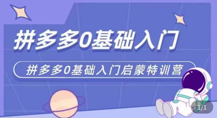 拼多多运营0-1实操特训营，拼多多0基础入门，从基础到进阶的可实操玩法-赚钱驿站