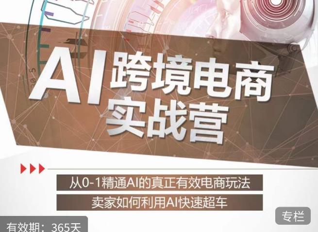 白龙老师·AI跨境电商实战营：从0-1精通Al的真正有效电商玩法，卖家如何利用Al快速超车-赚钱驿站