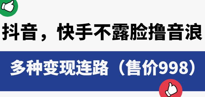 抖音快手不露脸撸音浪项目，多种变现连路（售价998）-赚钱驿站