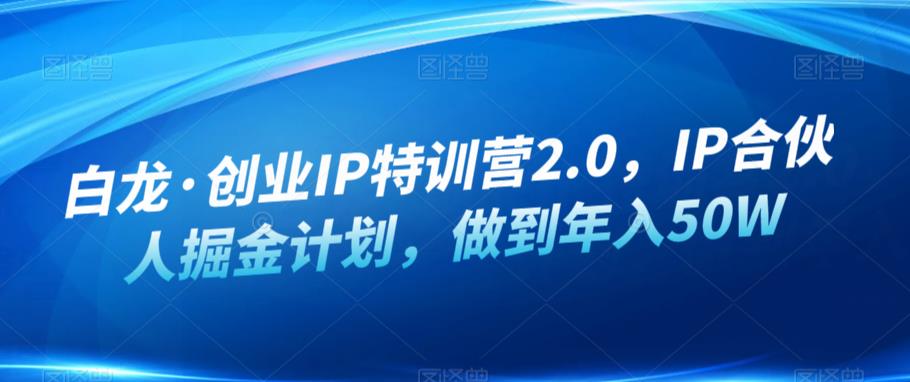 白龙·创业IP特训营2.0，IP合伙人掘金计划，做到年入50W-赚钱驿站