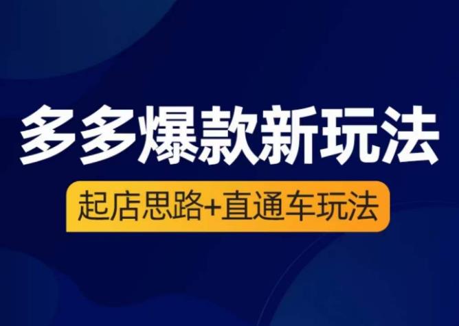 海神·多多爆款新玩法，​起店思路+直通车玩法（3节精华课）-赚钱驿站