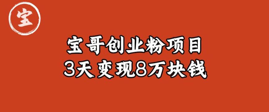 宝哥IP图文创业粉引流项目实战分享：单个账号3天涨粉1万，变现8万块钱（图文教程）【揭秘】-赚钱驿站