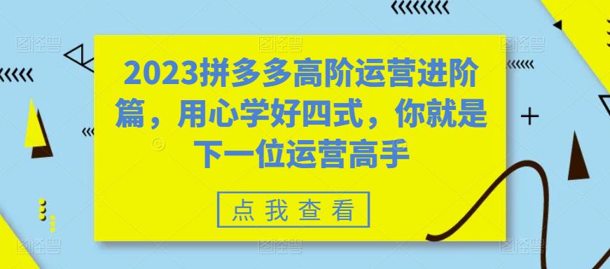 2023拼多多高阶运营进阶篇，用心学好四式，你就是下一位运营高手-赚钱驿站