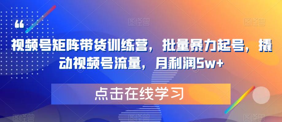 视频号矩阵带货训练营，批量暴力起号，撬动视频号流量，月利润5w+-赚钱驿站