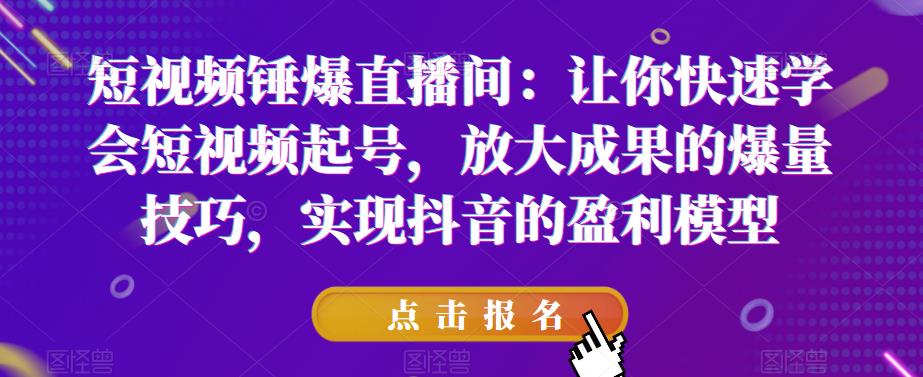 短视频锤爆直播间：让你快速学会短视频起号，放大成果的爆量技巧，实现抖音的盈利模型-赚钱驿站