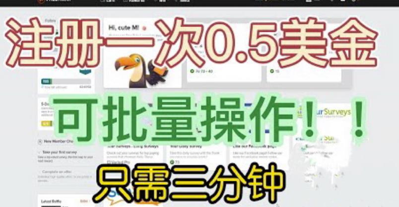 国外项目注册一次0.5美金，只需三分钟无脑操作，可批量同时放大操作，小白工作室福利【揭秘】-赚钱驿站