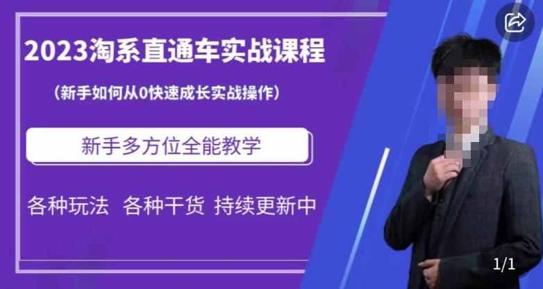 2023淘系直通车保姆式运营讲解，新手如何从0快速成长实战操作，新手多方位全能教学-赚钱驿站