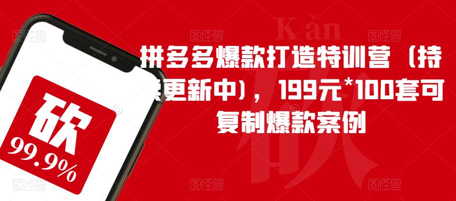 拼多多爆款打造特训营（持续更新中)，199元*100套可复制爆款案例-赚钱驿站