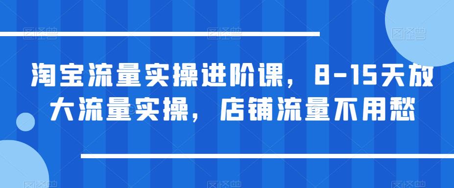 淘宝流量实操进阶课，8-15天放大流量实操，店铺流量不用愁-赚钱驿站