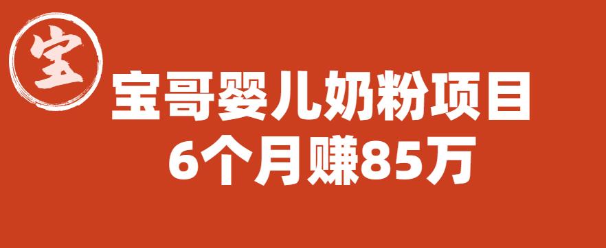 宝哥婴儿奶粉项目，6个月赚85w【图文非视频】【揭秘】-赚钱驿站