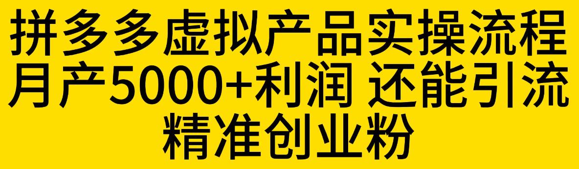 拼多多虚拟产品实操流程，月产5000+利润，还能引流精准创业粉【揭秘】-赚钱驿站