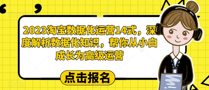 2023淘宝数据化运营14式，深度解析数据化知识，帮你从小白成长为高级运营-赚钱驿站