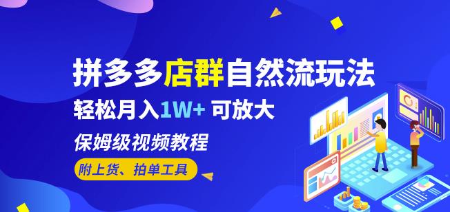 拼多多店群自然流玩法，轻松月入1W+保姆级视频教程（附上货、拍单工具）-赚钱驿站