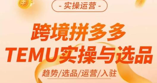 伍跃·跨境拼多多TEMU实操与选品，​趋势/选品/运营/入住（27节完整）-赚钱驿站