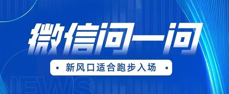 全网首发微信问一问新风口变现项目（价值1999元）【揭秘】-赚钱驿站