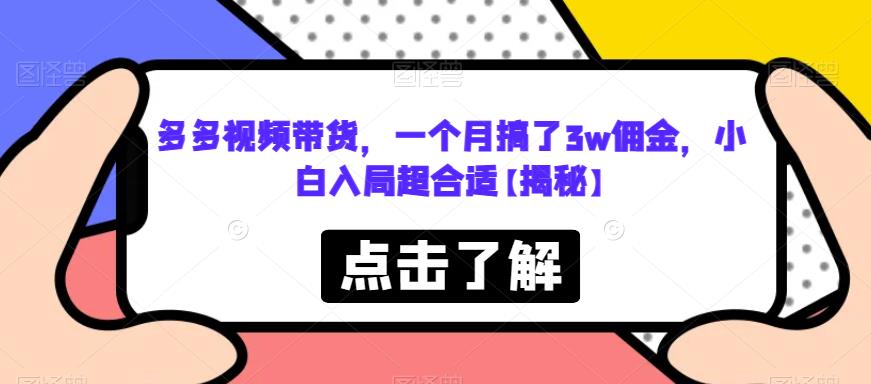 多多视频带货，一个月搞了3w佣金，小白入局超合适【揭秘】-赚钱驿站