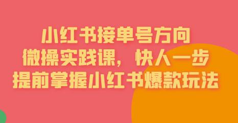 接单号方向·小红书微操实践课，快人一步，提前掌握小红书爆款玩法-赚钱驿站