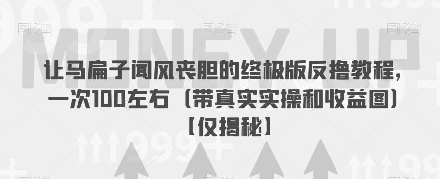 让马扁子闻风丧胆的终极版反撸教程，一次100左右（带真实实操和收益图）【仅揭秘】-赚钱驿站