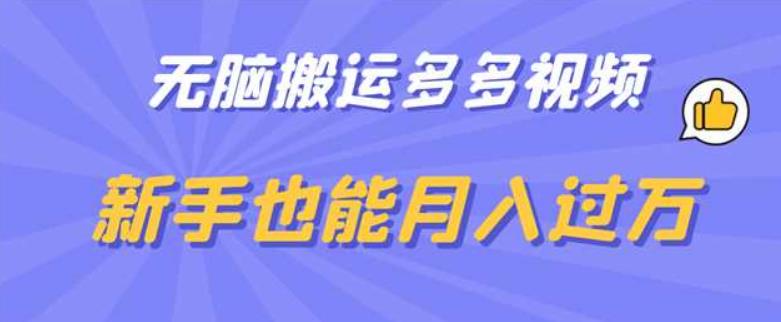 无脑搬运多多视频，新手也能月入过万【揭秘】-赚钱驿站