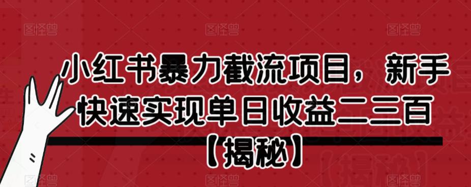 小红书暴力截流项目，新手快速实现单日收益二三百【仅揭秘】-赚钱驿站