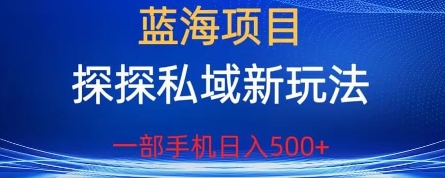 蓝海项目，探探私域新玩法，一部手机日入500+很轻松【揭秘】-赚钱驿站