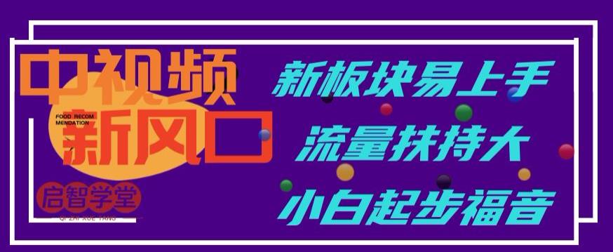 中视频新风口，新板块易上手，流量扶持大，小白起步福音【揭秘】-赚钱驿站