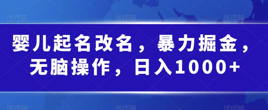 婴儿起名改名，暴力掘金，无脑操作，日入1000+【揭秘】-赚钱驿站