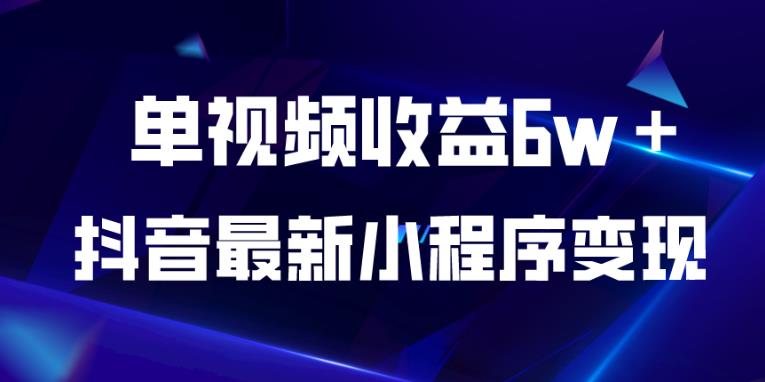 抖音最新小程序变现项目，单视频收益6w＋，小白可做【揭秘】-赚钱驿站