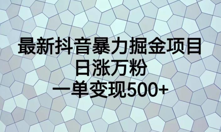 最新抖音暴力掘金项目，日涨万粉，一单变现500+【揭秘】-赚钱驿站