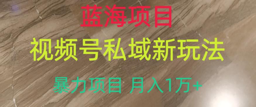 蓝海项目，视频号私域新玩法，暴力项目月入1万+【揭秘】-赚钱驿站