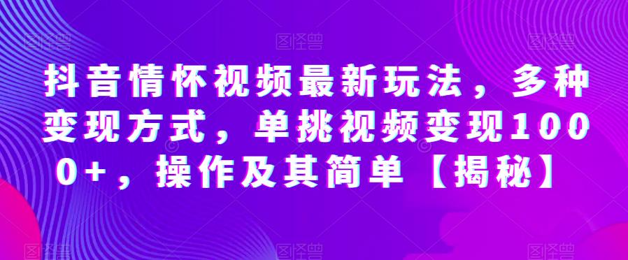 抖音情怀视频最新玩法，多种变现方式，单挑视频变现1000+，操作及其简单【揭秘】-赚钱驿站