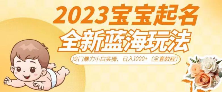 2023宝宝起名全新蓝海玩法，冷门暴力小白实操，日入1000+（全套教程）【揭秘】-赚钱驿站