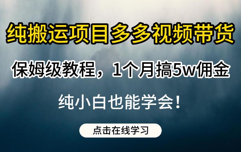 纯搬运项目多多视频带货保姆级教程，1个月搞5w佣金，纯小白也能学会【揭秘】-赚钱驿站