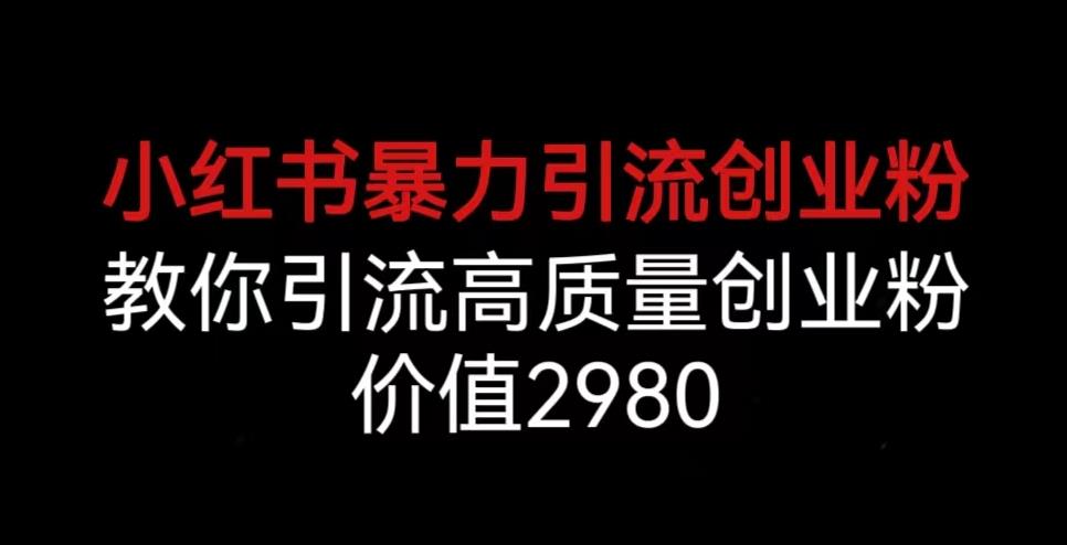 小红书暴力引流创业粉，教你引流高质量创业粉，价值2980【揭秘】-赚钱驿站