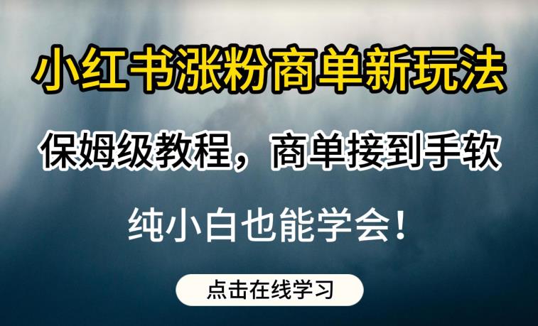 小红书涨粉商单新玩法，保姆级教程，商单接到手软，纯小白也能学会【揭秘】-赚钱驿站