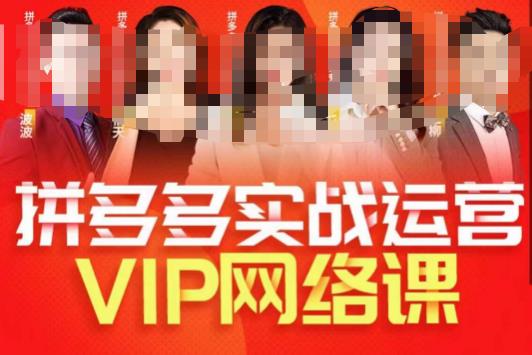 推易拼多多VIP全套直播课程，拼多多店铺实操玩法+实战玩法选款内功+直通车高阶等-赚钱驿站