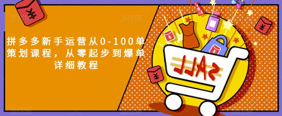 拼多多新手运营从0-100单策划课程，从零起步到爆单详细教程-赚钱驿站