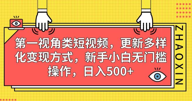 第一视角类短视频，更新多样化变现方式，新手小白无门槛操作，日入500+【揭秘】-赚钱驿站