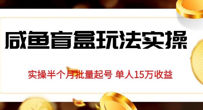 独家首发咸鱼盲盒玩法实操，半个月批量起号单人15万收益【揭秘】-赚钱驿站